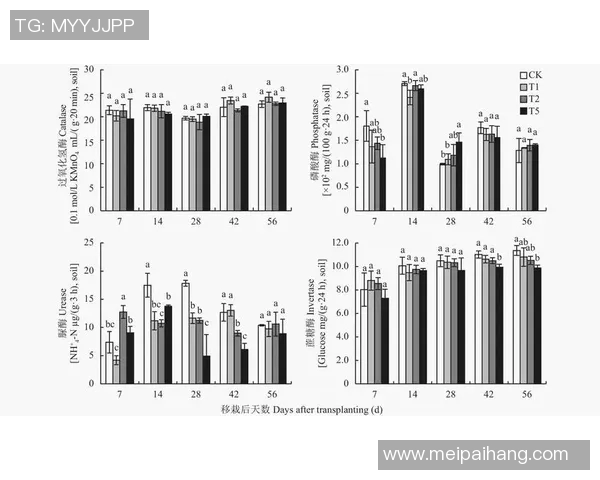 CS2m0NESY选手未来去向分析及其对战队影响探讨